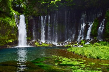 白糸ノ滝・静岡県 初夏の風景