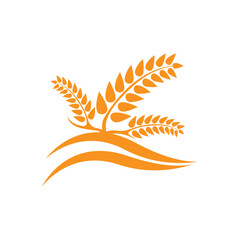 Wheat logo vector icon illustration