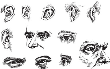 Collection of face, eyes and nose, Sketch drawn by black ink