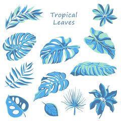 Fototapeta na wymiar set tropical leaves
