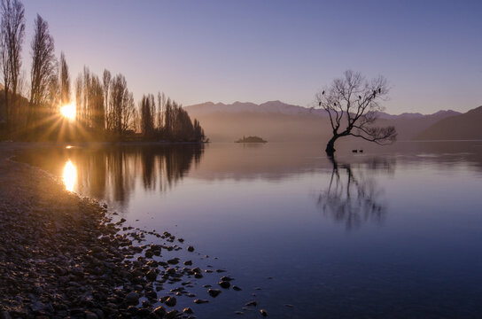 Calm lake with tree surrounded by mountains in evening