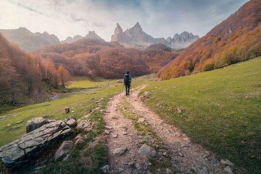 Hiker walking on pathway between autumn trees in mountains