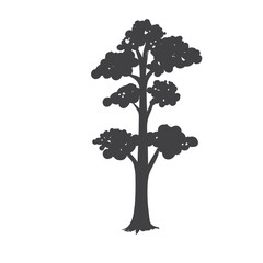 Tree Illustration