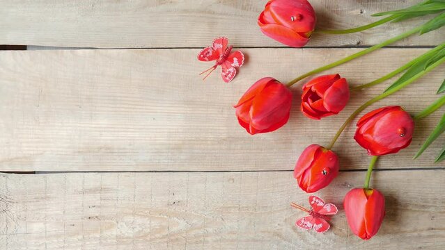 Red tulips on a wooden background. Mother's Day, Easter. Spring. Banner. Place for text. 4K