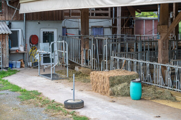 cowshed without cows in it on a farm, separated spaces for the cows metal fence