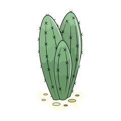 illustration of a green cactus 