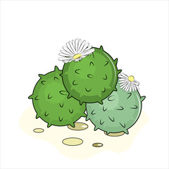illustration of a green cactus 