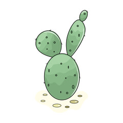 illustration of a green cactus 