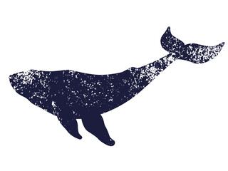 Whale textured silhouette. Illustration on transparent background