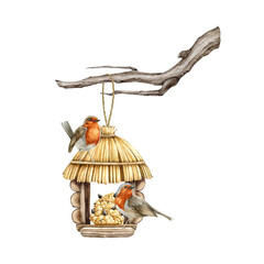 Garden birds on the feeder hang on the tree branch. Watercolor illustration. Cute small backyard robin birds eating food and seeds. Birds feeder on the dry tree branch natural image. White background