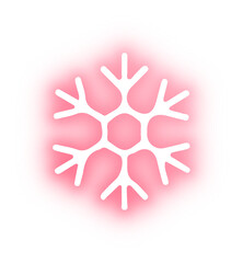 Collection of snowflake neon