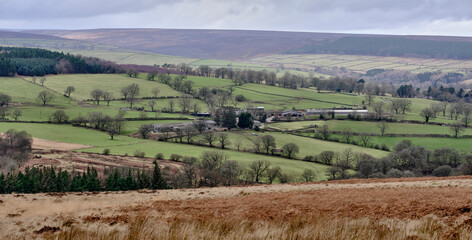 Yorkshire landscape in February farmland waiting for spring. Masham, North Yorkshire