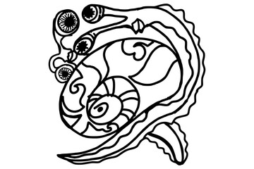 Two Weird Snail with Big Eye 