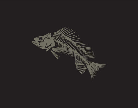 ancient fish fossils vector illustration
