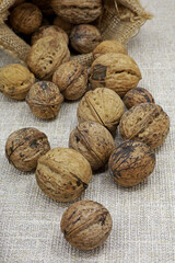 organic shelled walnuts in a sack