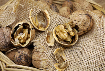 organic shelled walnuts in a sack