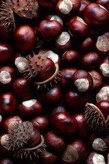 Horse Chestnuts Background, Peeled and in their Shell, close-up