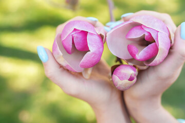 Magnolia woman hands. Girl holding blooming magnolia flowers in the park in spring