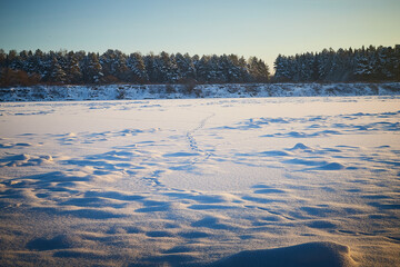 Footprints of in the snow field in cold winter morning or evening during sunrise or sunset