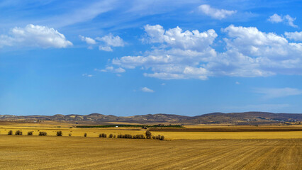 Paysage vallonée en plein été
