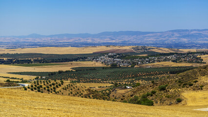 Fototapeta premium Paysage vallonée en plein été