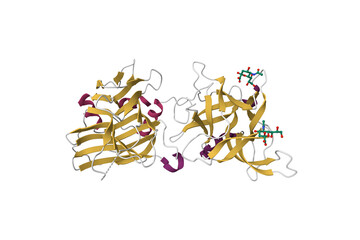 Structure of botulinum neurotoxin type C. 3D cartoon model, secondary structure color scheme, PDB 3r4s