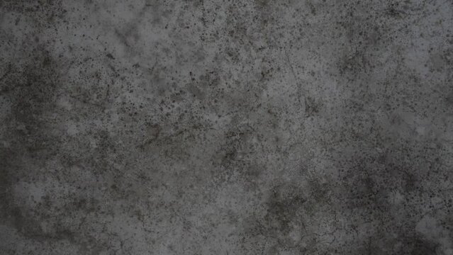 Mold on wall textured background