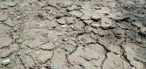 Texture Cracks in clay surface