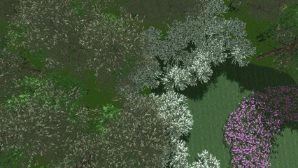 3D illustration of modern city square landscape design. Computer visualization of landscape design. Contrasting composition of a group of plants and smooth lines.