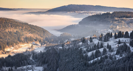 Valley view in Black Forest, Germany