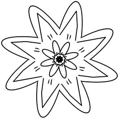 Sketch line drawing  flower  isolated illustration on white background