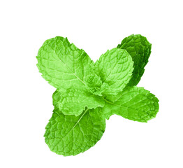 top mint leaves isolated on transparent PNG
