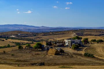 Paysage de Tunisie en &eacute;t&eacute;
