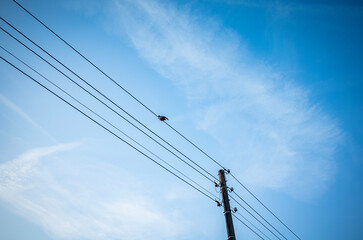 pylon against blue sky