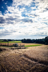 landscape in the country