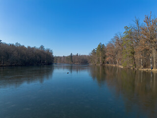 View of a frozen forest lake on a sunny winter day with reflections
