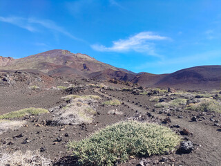 Volcano Pico del Teide in Sunlight