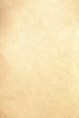Brown kraft natural canvas vertical paper texture