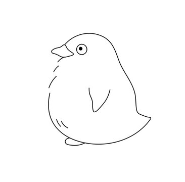 Vector isolated one single cute cartoon bird baby penguin chick side view colorless black and white contour line easy drawing