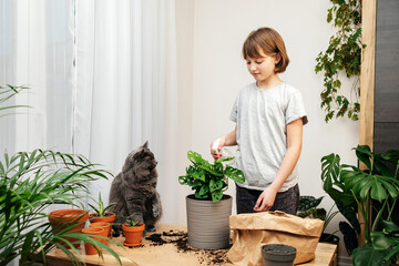 A teenage girl is spraying a monstera flower at home, and her gray cat is sitting next to her. home...