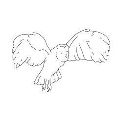 Vector isolated one single flying owl with outstretched wings colorless black and white contour line easy drawing