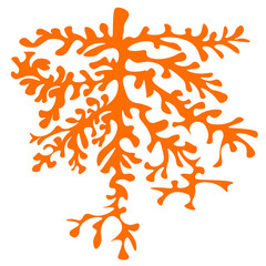 Abstract shapes fashion trend, pastel palette, hippie style 60s 70s. Matisse element flowers.