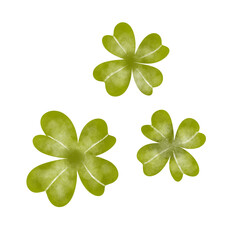 Watercolor leaves clover, shamrock, botanical clover clipart . You can combine elements with each other and get your own unique products. The collection is great for creating cards, invitations, st