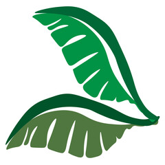 Floral abstract elements. Palm leaves abstract shapes. Floral Botanical composition. Modern trendy Matisse minimal style. Floral poster, invite.