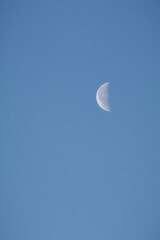 Moon in the morning with snowy alps