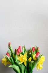 A beautiful bouquet of tulips and daffodils. Place for text. beautiful spring holiday