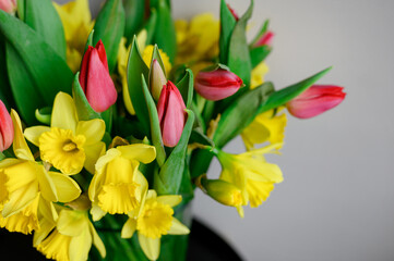 Beautiful bouquet of tulips and daffodils close-up. Place for text. beautiful spring holiday