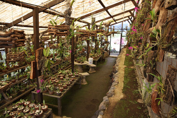 Greenhouse
