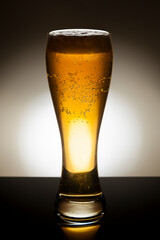 Backlit glass of lager beer