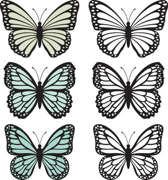 A set of bright butterflies isolated on a white background. Vector illustration.